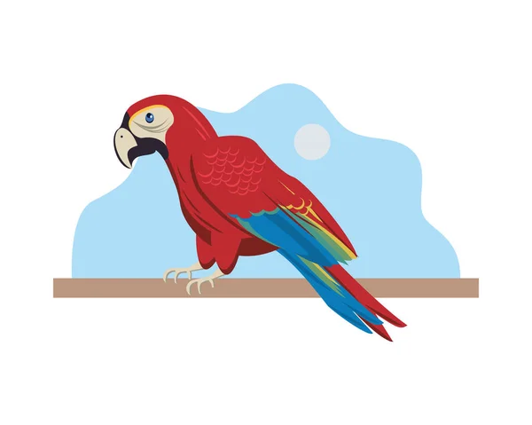 野生のエキゾチックなマカウの鳥の動物のアイコン — ストックベクタ