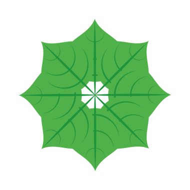 Tropikal yapraklar palmiye doğası dairesel dekorasyonu