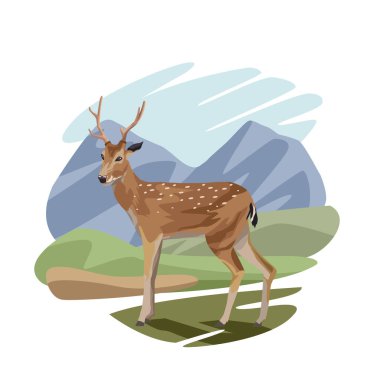 Kamp sahnesindeki vahşi ren geyiği hayvanı