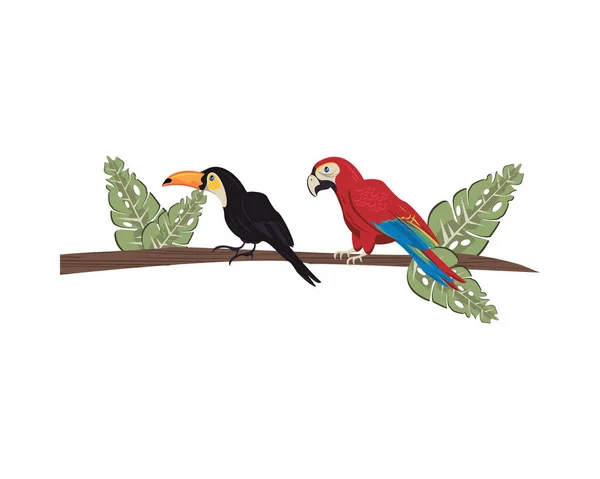 Vilda exotiska macaw och toucan fåglar djur — Stock vektor