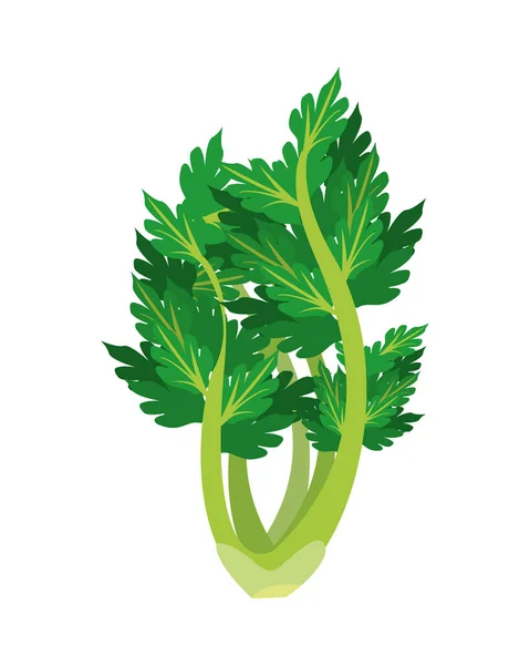 Apio saludable vegetal aislado icono de estilo — Vector de stock