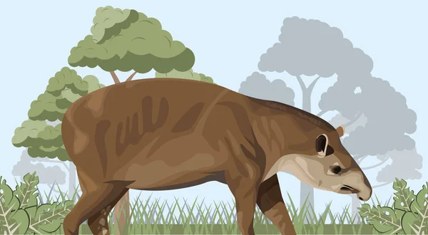 Vadon élő tapír állat a táj táján — Stock Vector