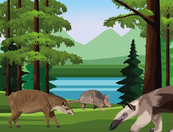 Dziki mrówkojad ze zwierzętami pancernymi i tapirem na scenie obozowej — Wektor stockowy