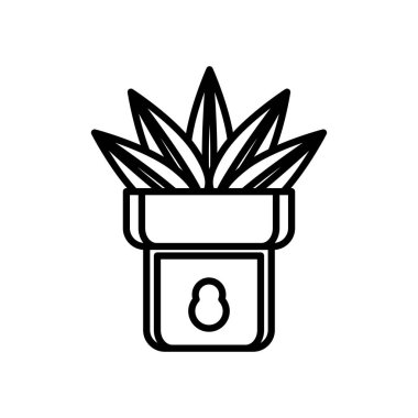 seramik saksı çizgisi tarzında ev bitkisi