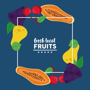 Mavi arka planda papayaları olan taze yerel meyveler