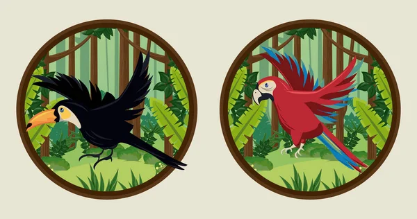 Tucán salvaje y aves loro en marcos circulares — Vector de stock