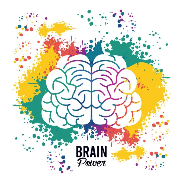 Шаблон питания мозга с набором цветов краски всплеск — стоковый вектор