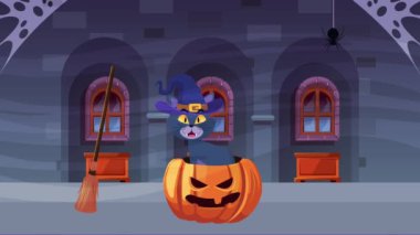 Balkabağı içindeki kediyle Cadılar Bayramı animasyonu sahnen kutlu olsun.