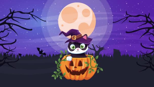 Feliz halloween animado escena con poco gato usando bruja sombrero en calabaza — Vídeos de Stock