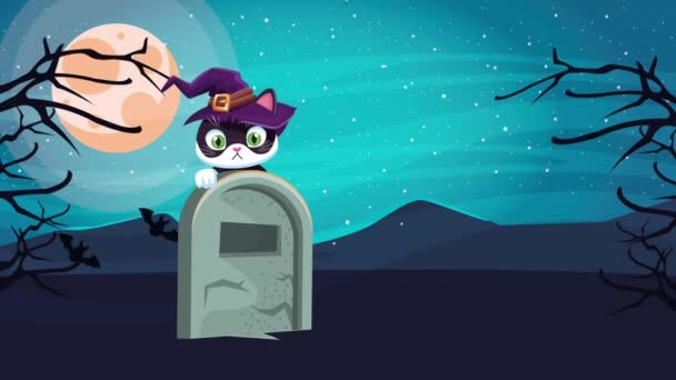 Feliz halloween animado escena con poco gato usando bruja sombrero en cementerio — Vídeos de Stock