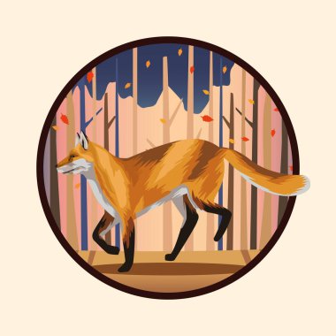 Vahşi tilki, orman sahnesinde.