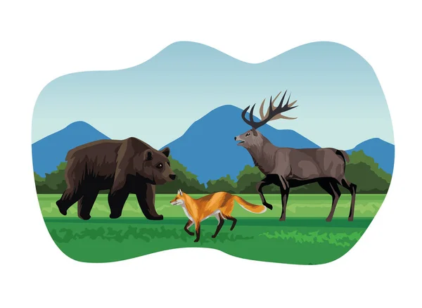 Большой медведь и лиса с оленями животных в пейзажной сцене — стоковый вектор
