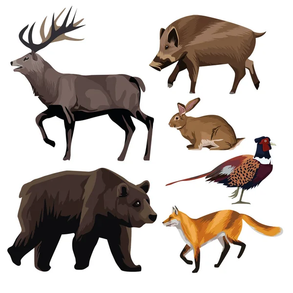 Ikony zestawu ikon dla grup zwierząt — Wektor stockowy