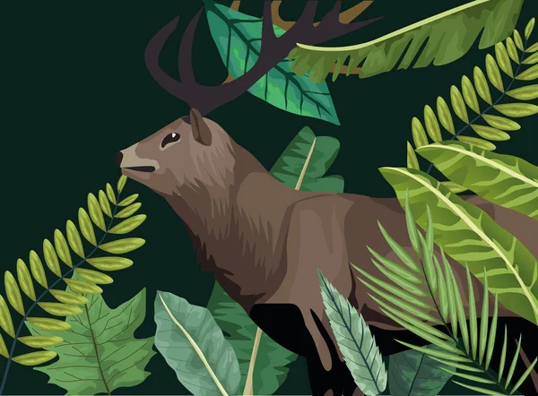 Dzikie zwierzę renifera na scenie leśnej — Wektor stockowy