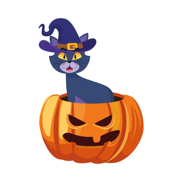 Halloween-Katze mit Hut auf Kürbis Cartoon-Vektor-Design — Stockvektor