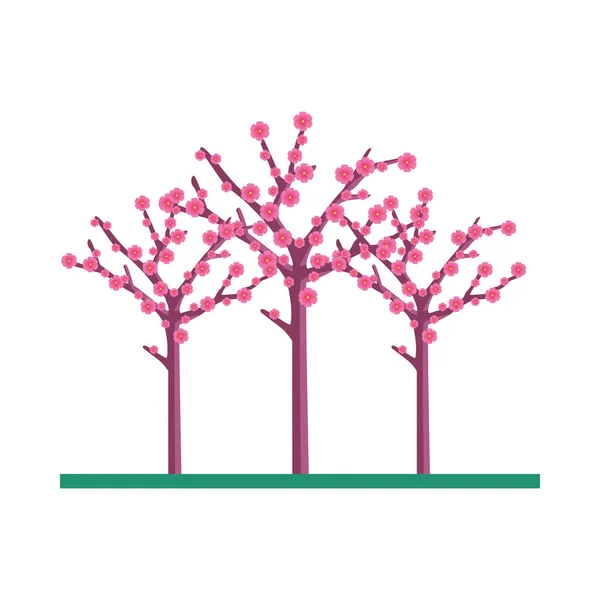 Flores chinas aisladas diseño de vectores de árboles — Vector de stock