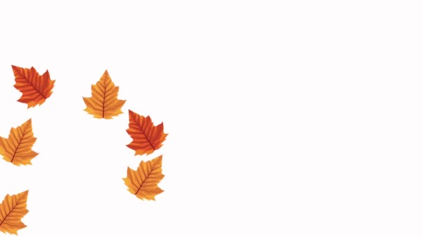 Hello autumn animation with leafs pattern — Stock Video