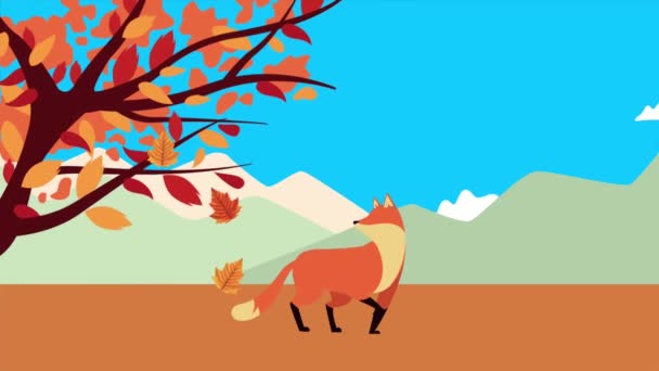 Hello autumn animation with wild fox in landscape — Stock Video