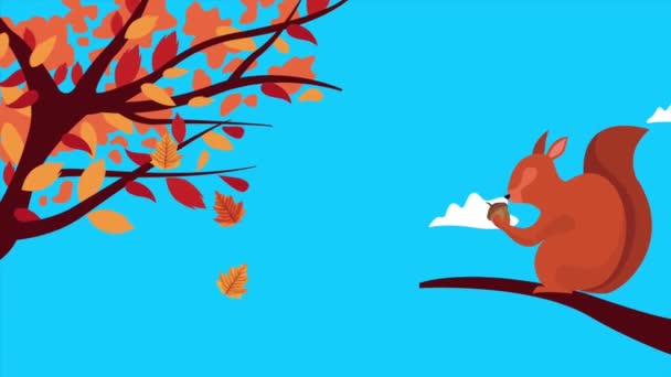 Merhaba, ağaç sahnesinde sincap ile sonbahar animasyonu. — Stok video