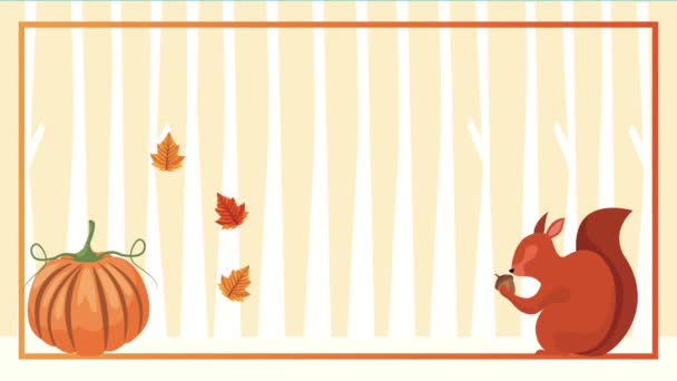 Olá animação de outono com esquilo e abóbora no quadro — Vídeo de Stock