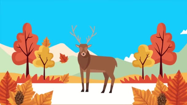 Olá animação de outono com renas na paisagem — Vídeo de Stock