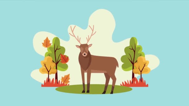 Geyiklerle orman sahnesinde sonbahar animasyonuna merhaba. — Stok video