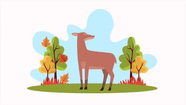 Γεια animation φθινόπωρο με λίγο τάρανδο στη σκηνή του δάσους — Αρχείο Βίντεο