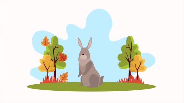 Olá animação de outono com coelho na cena da floresta — Vídeo de Stock