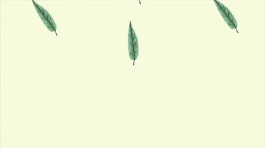 Tropikal egzotik yapraklar ekolojik animasyon deseni