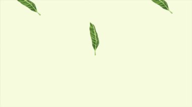 Tropikal egzotik yapraklar ekolojik animasyon deseni