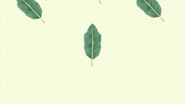Tropikal egzotik yapraklar ekoloji animasyon desen arka planı