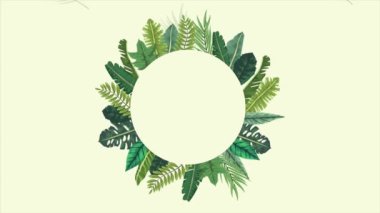 Tropikal egzotik yapraklar ekolojik animasyon dairesel çerçeve yeşil arkaplan