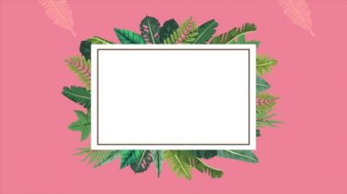 tropikal egzotik yapraklar ekolojik animasyonu kare kare kare çerçeveli pembe arkaplan