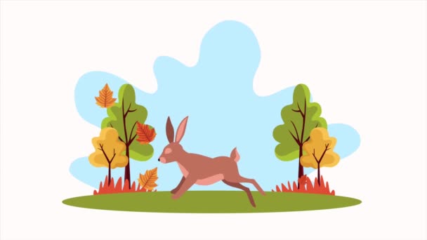 Hello autumn animation with rabbit and leafs landscape — Stock Video