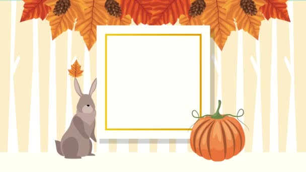 Hello autumn animation with rabbit and pumpkin in frame — Stock Video