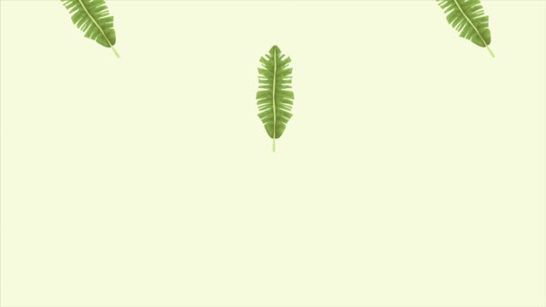 Tropikal egzotik yapraklar ekolojik animasyon deseni — Stok video
