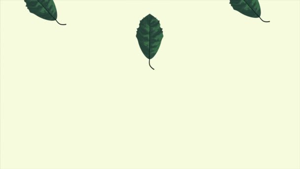 Leafs ecology animation pattern in green background — Stock Video