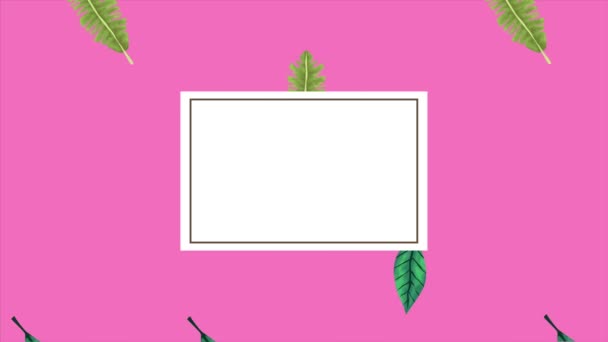 Exótica tropical hojas ecología animación patrón y marco cuadrado en fondo rosa — Vídeos de Stock