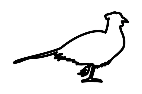 Wilde fazant vogel dier silhouet — Stockvector