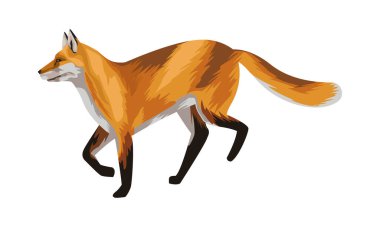 Vahşi tilki hayvan doğa simgesi