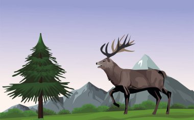 vahşi ren geyiği hayvan manzarada