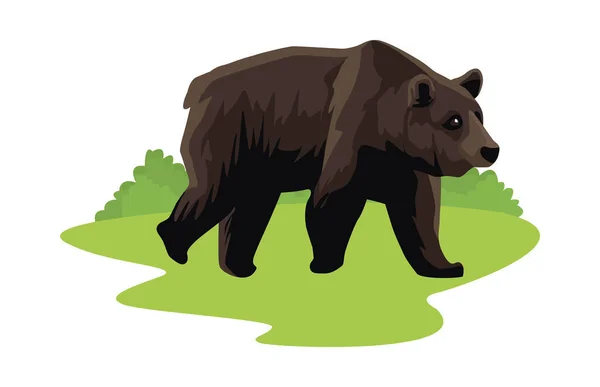 Wild bear beast animal on the field — Stock Vector