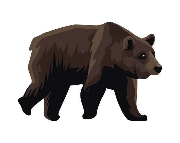 Wild bear beast animal icon — Stock Vector