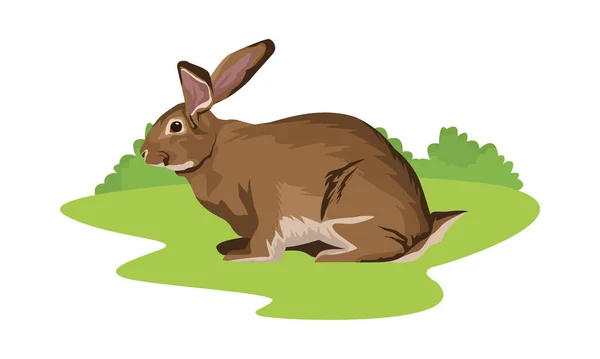 Mignon lapin sauvage nature animale dans le domaine — Image vectorielle