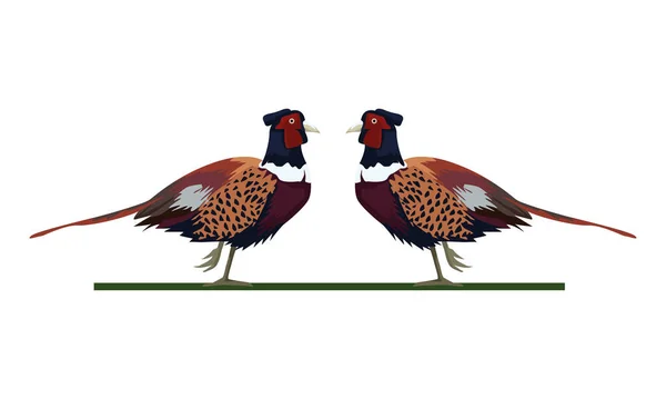 Wild pheasants birds animals icons — Stock Vector