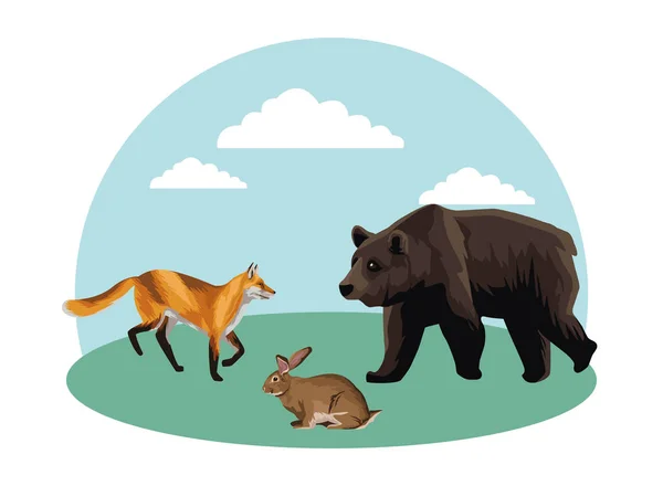 Wild bear with rabbit and fox in the field — Stock Vector