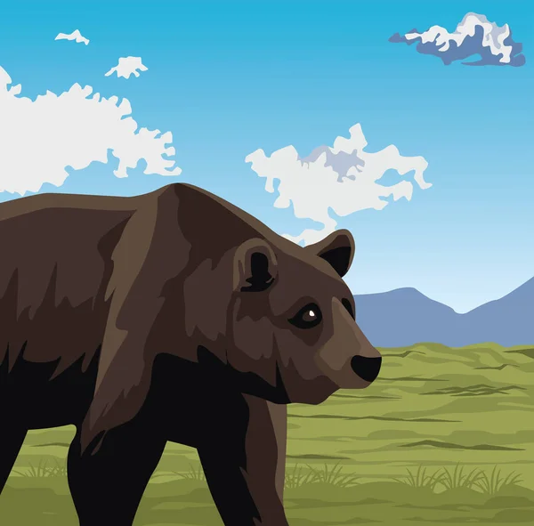 Wild bear beast animal in landscape — Stock Vector