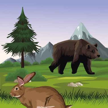 Vahşi ayı ve tavşan manzarada