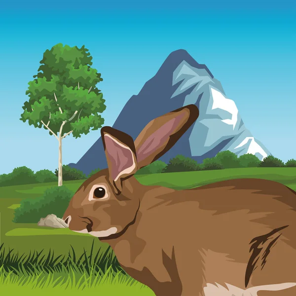 風景の中のかわいい野生のウサギ — ストックベクタ