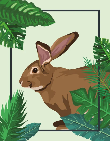 叶框中可爱的野兔 — 图库矢量图片